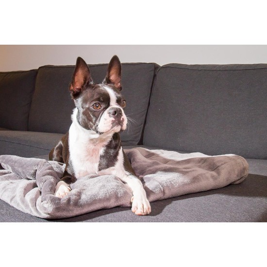 Chiara Cuddly blanket for dogs (fluffy fleece blanket, also ideal as a sofa protector or sofa throw against dog hair, cuddly blanket also for owners, size: 65 x 90 cm), colour: dark grey Chiara Cuddly blanket for dogs (fluffy fleece blanket, also ideal as a sofa protector or sofa throw against dog hair, cuddly blanket also for owners, size: 65 x 90 cm), colour: dark grey