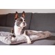 Chiara Cuddly blanket for dogs (fluffy fleece blanket, also ideal as a sofa protector or sofa throw against dog hair, cuddly blanket also for owners, size: 65 x 90 cm), colour: dark grey Chiara Cuddly blanket for dogs (fluffy fleece blanket, also ideal as a sofa protector or sofa throw against dog hair, cuddly blanket also for owners, size: 65 x 90 cm), colour: dark grey