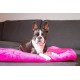 Chiara Cuddly blanket for dogs (fluffy fleece blanket, also ideal as a sofa protector or sofa throw against dog hair, cuddly blanket also for owners, size: 65 x 90 cm), colour: dark grey Chiara Cuddly blanket for dogs (fluffy fleece blanket, also ideal as a sofa protector or sofa throw against dog hair, cuddly blanket also for owners, size: 65 x 90 cm), colour: dark grey
