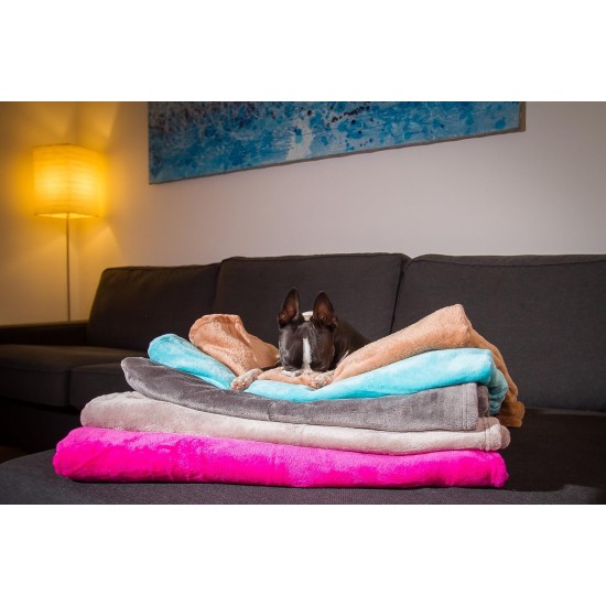 Chiara Cuddly blanket for dogs (fluffy fleece blanket, also ideal as a sofa protector or sofa throw against dog hair, cuddly blanket also for owners, size: 65 x 90 cm), colour: dark grey Chiara Cuddly blanket for dogs (fluffy fleece blanket, also ideal as a sofa protector or sofa throw against dog hair, cuddly blanket also for owners, size: 65 x 90 cm), colour: dark grey