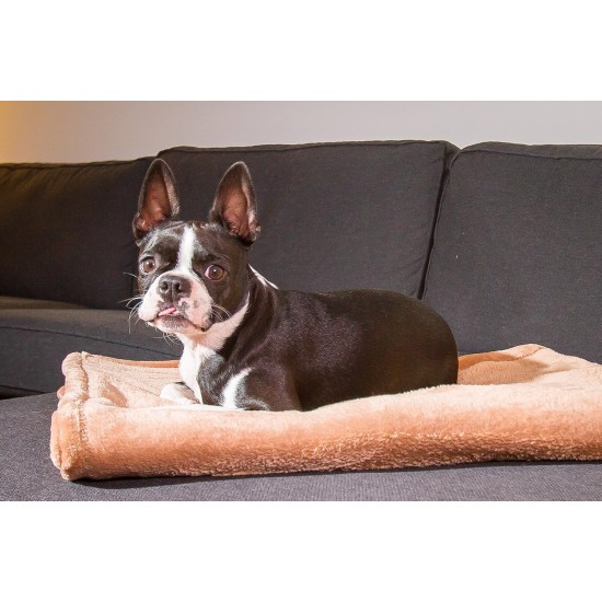 Chiara Cuddly blanket for dogs (fluffy fleece blanket, also ideal as a sofa protector or sofa throw against dog hair, cuddly blanket also for owners, size: 65 x 90 cm), colour: dark grey Chiara Cuddly blanket for dogs (fluffy fleece blanket, also ideal as a sofa protector or sofa throw against dog hair, cuddly blanket also for owners, size: 65 x 90 cm), colour: dark grey