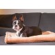 Chiara Cuddly blanket for dogs (fluffy fleece blanket, also ideal as a sofa protector or sofa throw against dog hair, cuddly blanket also for owners, size: 65 x 90 cm), colour: dark grey Chiara Cuddly blanket for dogs (fluffy fleece blanket, also ideal as a sofa protector or sofa throw against dog hair, cuddly blanket also for owners, size: 65 x 90 cm), colour: dark grey