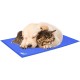 Cushion for Dogs 81 x 96 cm, Dog Mats, Cooling Mat for Dogs Cats, Dog Beds, Cat Beds, Cooling Pad for Pets, Cooling Blanket, Suitable for Home & Outdoor, Computer & Chair Sofa Mat Cooling Cushion for Dogs 81 x 96 cm, Dog Mats, Cooling Mat for Dogs Cats, Dog Beds, Cat Beds, Cooling Pad for Pets, Cooling Blanket, Suitable for Home & Outdoor, Computer & Chair Sofa Mat Cooling