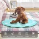 Cushion for Dogs 81 x 96 cm, Dog Mats, Cooling Mat for Dogs Cats, Dog Beds, Cat Beds, Cooling Pad for Pets, Cooling Blanket, Suitable for Home & Outdoor, Computer & Chair Sofa Mat Cooling Cushion for Dogs 81 x 96 cm, Dog Mats, Cooling Mat for Dogs Cats, Dog Beds, Cat Beds, Cooling Pad for Pets, Cooling Blanket, Suitable for Home & Outdoor, Computer & Chair Sofa Mat Cooling