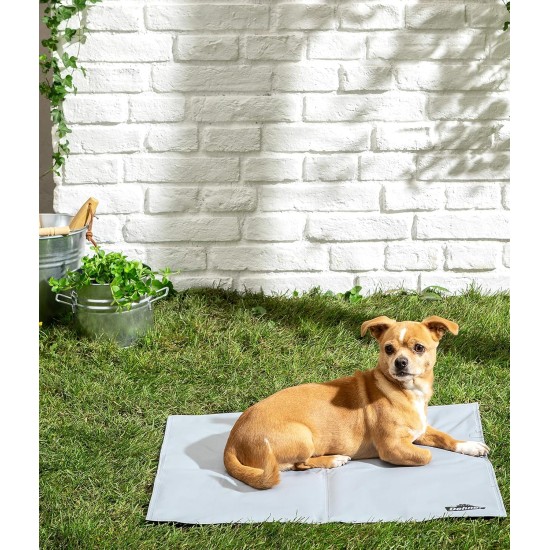 Dehner Refresh Dog Cooling Mat with Self-Cooling Gel 60 x 50 cm Grey Dehner Refresh Dog Cooling Mat with Self-Cooling Gel 60 x 50 cm Grey