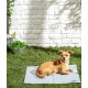 Dehner Refresh Dog Cooling Mat with Self-Cooling Gel 60 x 50 cm Grey Dehner Refresh Dog Cooling Mat with Self-Cooling Gel 60 x 50 cm Grey