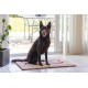 Dirty Dog Doormat 'PAW' 88x68 cm brown