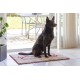 Dirty Dog Doormat 'PAW' 88x68 cm brown