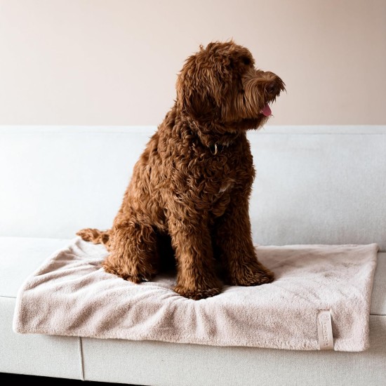 District 70 NUZZLE Blanket - Merengue District 70 NUZZLE Blanket - Merengue