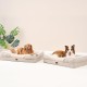 EHEYCIGA Orthopaedic Dog Bed for Small Dogs, Memory Foam Washable and Waterproof Dog Basket with 4 Edges, Non-Slip Dog Sofa, Grey, 76 x 51 x 16.5 cm EHEYCIGA Orthopaedic Dog Bed for Small Dogs, Memory Foam Washable and Waterproof Dog Basket with 4 Edges, Non-Slip Dog Sofa, Grey, 76 x 51 x 16.5 cm