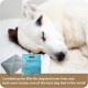 Ellie-Bo Replacement Cow Hide Dog Bed Cover, 87 x 57 cm, Large Ellie-Bo Replacement Cow Hide Dog Bed Cover, 87 x 57 cm, Large