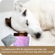 Ellie-Bo Replacement Cow Hide Dog Bed Cover, 87 x 57 cm, Large Ellie-Bo Replacement Cow Hide Dog Bed Cover, 87 x 57 cm, Large
