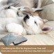 Ellie-Bo Replacement Cow Hide Dog Bed Cover, 87 x 57 cm, Large Ellie-Bo Replacement Cow Hide Dog Bed Cover, 87 x 57 cm, Large