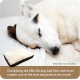 Ellie-Bo Replacement Dog Bed Cover with Faux Suede and Sheepskin Topping, 87 x 57 cm, Large, Brown Ellie-Bo Replacement Dog Bed Cover with Faux Suede and Sheepskin Topping, 87 x 57 cm, Large, Brown
