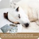 Ellie-Bo Replacement Voyager Dog Bed Cover, 48-Inch, 117 x 75 cm, 2X-Large, Black Ellie-Bo Replacement Voyager Dog Bed Cover, 48-Inch, 117 x 75 cm, 2X-Large, Black