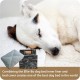 Ellie-Bo Replacement Voyager Dog Bed Cover, 48-Inch, 117 x 75 cm, 2X-Large, Black Ellie-Bo Replacement Voyager Dog Bed Cover, 48-Inch, 117 x 75 cm, 2X-Large, Black