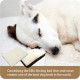 Ellie-Bo Replacement Waterproof Dog Bed Cover, 87 x 57 cm, Large, Green Ellie-Bo Replacement Waterproof Dog Bed Cover, 87 x 57 cm, Large, Green