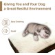 Ellie-Bo Replacement Waterproof Dog Bed Cover, 87 x 57 cm, Large, Green Ellie-Bo Replacement Waterproof Dog Bed Cover, 87 x 57 cm, Large, Green