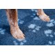 Essential rug from breeder to dry bed for dogs Essential rug from breeder to dry bed for dogs