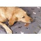 FATFACE Flying Birds Super Soft Sustainable Large Dog Blanket - Blue/Teal FATFACE Flying Birds Super Soft Sustainable Large Dog Blanket - Blue/Teal