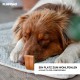 FLUFFINO® Dog Blanket - Fluffy, Soft and Washable (Size: L, M, S; Colour: Grey or Green) - Faux Suede For Increased Slip Resistance - For Large and Small Dogs or Cats - Dog Mat / Cushion / Cat Blanket FLUFFINO® Dog Blanket - Fluffy, Soft and Washable (Size: L, M, S; Colour: Grey or Green) - Faux Suede For Increased Slip Resistance - For Large and Small Dogs or Cats - Dog Mat / Cushion / Cat Blanket
