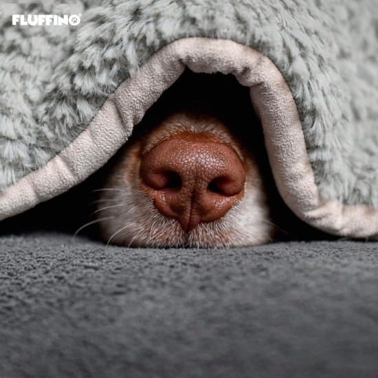 FLUFFINO® Dog Blanket - Fluffy, Soft and Washable (Size: L, M, S; Colour: Grey or Green) - Faux Suede For Increased Slip Resistance - For Large and Small Dogs or Cats - Dog Mat / Cushion / Cat Blanket FLUFFINO® Dog Blanket - Fluffy, Soft and Washable (Size: L, M, S; Colour: Grey or Green) - Faux Suede For Increased Slip Resistance - For Large and Small Dogs or Cats - Dog Mat / Cushion / Cat Blanket