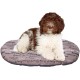 Ferplast Hundebett Relax, Hundekissen, Katzenkissen, Hundematte für Hundehütten und Autos – waschbar – aus Baumwolle mit weicher Polsterung, 43 x 30 cm. Braun Ferplast Hundebett Relax, Hundekissen, Katzenkissen, Hundematte für Hundehütten und Autos – waschbar – aus Baumwolle mit weicher Polsterung, 43 x 30 cm. Braun