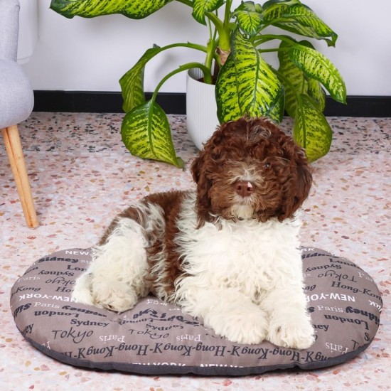 Ferplast Hundebett Relax, Hundekissen, Katzenkissen, Hundematte für Hundehütten und Autos – waschbar – aus Baumwolle mit weicher Polsterung, 43 x 30 cm. Braun Ferplast Hundebett Relax, Hundekissen, Katzenkissen, Hundematte für Hundehütten und Autos – waschbar – aus Baumwolle mit weicher Polsterung, 43 x 30 cm. Braun