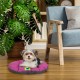 Ferplast Hundebett Relax, Hundekissen, Katzenkissen, Hundematte für Hundehütten und Autos – waschbar – aus Baumwolle mit weicher Polsterung, 43 x 30 cm. Braun Ferplast Hundebett Relax, Hundekissen, Katzenkissen, Hundematte für Hundehütten und Autos – waschbar – aus Baumwolle mit weicher Polsterung, 43 x 30 cm. Braun