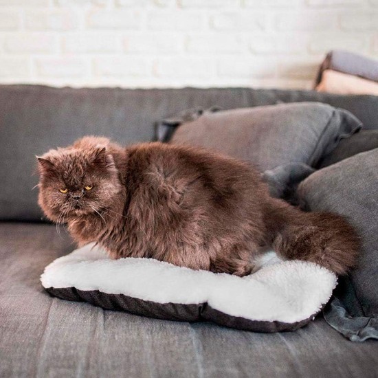 Ferplast Hundebett Relax, Hundekissen, Katzenkissen, Hundematte für Hundehütten und Autos – waschbar – aus Baumwolle mit weicher Polsterung, 43 x 30 cm. Braun Ferplast Hundebett Relax, Hundekissen, Katzenkissen, Hundematte für Hundehütten und Autos – waschbar – aus Baumwolle mit weicher Polsterung, 43 x 30 cm. Braun