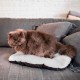 Ferplast Hundebett Relax, Hundekissen, Katzenkissen, Hundematte für Hundehütten und Autos – waschbar – aus Baumwolle mit weicher Polsterung, 43 x 30 cm. Braun Ferplast Hundebett Relax, Hundekissen, Katzenkissen, Hundematte für Hundehütten und Autos – waschbar – aus Baumwolle mit weicher Polsterung, 43 x 30 cm. Braun