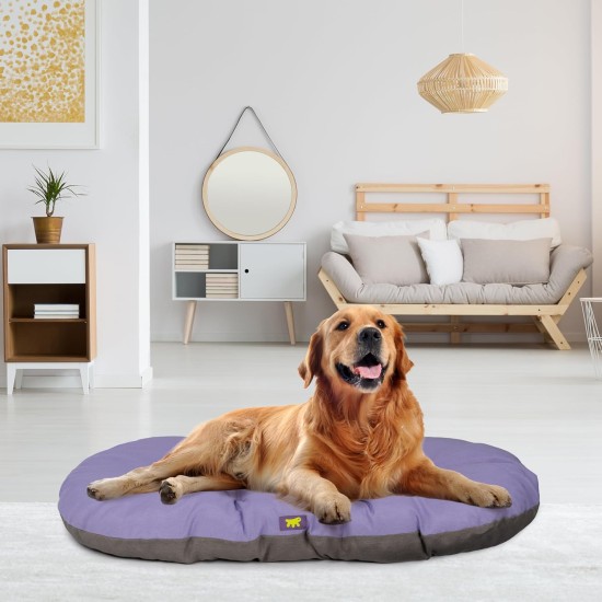Ferplast Hundebett Relax, Hundekissen, Katzenkissen, Hundematte für Hundehütten und Autos – waschbar – aus Baumwolle mit weicher Polsterung, 43 x 30 cm. Braun Ferplast Hundebett Relax, Hundekissen, Katzenkissen, Hundematte für Hundehütten und Autos – waschbar – aus Baumwolle mit weicher Polsterung, 43 x 30 cm. Braun