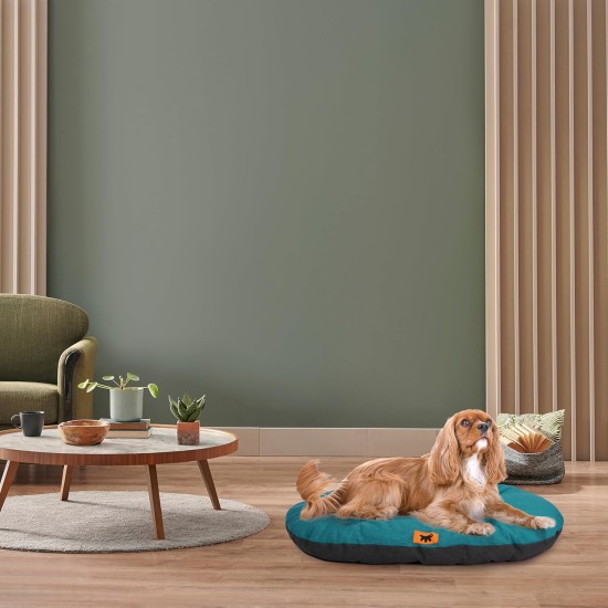 Ferplast Hundebett Relax, Hundekissen, Katzenkissen, Hundematte für Hundehütten und Autos – waschbar – aus Baumwolle mit weicher Polsterung, 43 x 30 cm. Braun Ferplast Hundebett Relax, Hundekissen, Katzenkissen, Hundematte für Hundehütten und Autos – waschbar – aus Baumwolle mit weicher Polsterung, 43 x 30 cm. Braun