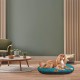 Ferplast Hundebett Relax, Hundekissen, Katzenkissen, Hundematte für Hundehütten und Autos – waschbar – aus Baumwolle mit weicher Polsterung, 43 x 30 cm. Braun Ferplast Hundebett Relax, Hundekissen, Katzenkissen, Hundematte für Hundehütten und Autos – waschbar – aus Baumwolle mit weicher Polsterung, 43 x 30 cm. Braun
