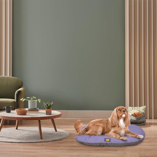 Ferplast Hundebett Relax, Hundekissen, Katzenkissen, Hundematte für Hundehütten und Autos – waschbar – aus Baumwolle mit weicher Polsterung, 43 x 30 cm. Braun Ferplast Hundebett Relax, Hundekissen, Katzenkissen, Hundematte für Hundehütten und Autos – waschbar – aus Baumwolle mit weicher Polsterung, 43 x 30 cm. Braun