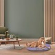 Ferplast Hundebett Relax, Hundekissen, Katzenkissen, Hundematte für Hundehütten und Autos – waschbar – aus Baumwolle mit weicher Polsterung, 43 x 30 cm. Braun Ferplast Hundebett Relax, Hundekissen, Katzenkissen, Hundematte für Hundehütten und Autos – waschbar – aus Baumwolle mit weicher Polsterung, 43 x 30 cm. Braun