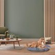 Ferplast Hundebett Relax, Hundekissen, Katzenkissen, Hundematte für Hundehütten und Autos – waschbar – aus Baumwolle mit weicher Polsterung, 43 x 30 cm. Braun Ferplast Hundebett Relax, Hundekissen, Katzenkissen, Hundematte für Hundehütten und Autos – waschbar – aus Baumwolle mit weicher Polsterung, 43 x 30 cm. Braun