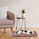 Ferplast Jolly Dog and Cat Mat, Washable Dog Bed, Dog Cushion, Waterproof and Scratch-Resistant, Mat for Dog Kennels, Car, Dog Basket, 83 x 50 cm, M, Brown Ferplast Jolly Dog and Cat Mat, Washable Dog Bed, Dog Cushion, Waterproof and Scratch-Resistant, Mat for Dog Kennels, Car, Dog Basket, 83 x 50 cm, M, Brown