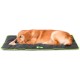 Ferplast Jolly Dog and Cat Mat, Washable Dog Bed, Dog Cushion, Waterproof and Scratch-Resistant, Mat for Dog Kennels, Car, Dog Basket, 83 x 50 cm, M, Brown Ferplast Jolly Dog and Cat Mat, Washable Dog Bed, Dog Cushion, Waterproof and Scratch-Resistant, Mat for Dog Kennels, Car, Dog Basket, 83 x 50 cm, M, Brown