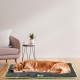 Ferplast Jolly Dog and Cat Mat, Washable Dog Bed, Dog Cushion, Waterproof and Scratch-Resistant, Mat for Dog Kennels, Car, Dog Basket, 83 x 50 cm, M, Brown Ferplast Jolly Dog and Cat Mat, Washable Dog Bed, Dog Cushion, Waterproof and Scratch-Resistant, Mat for Dog Kennels, Car, Dog Basket, 83 x 50 cm, M, Brown