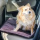 Ferplast Jolly Dog and Cat Mat, Washable Dog Bed, Dog Cushion, Waterproof and Scratch-Resistant, Mat for Dog Kennels, Car, Dog Basket, 83 x 50 cm, M, Brown Ferplast Jolly Dog and Cat Mat, Washable Dog Bed, Dog Cushion, Waterproof and Scratch-Resistant, Mat for Dog Kennels, Car, Dog Basket, 83 x 50 cm, M, Brown