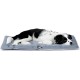 Ferplast Jolly Dog and Cat Mat, Washable Dog Bed, Dog Cushion, Waterproof and Scratch-Resistant, Mat for Dog Kennels, Car, Dog Basket, 83 x 50 cm, M, Brown Ferplast Jolly Dog and Cat Mat, Washable Dog Bed, Dog Cushion, Waterproof and Scratch-Resistant, Mat for Dog Kennels, Car, Dog Basket, 83 x 50 cm, M, Brown