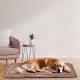 Ferplast Jolly Dog and Cat Mat, Washable Dog Bed, Dog Cushion, Waterproof and Scratch-Resistant, Mat for Dog Kennels, Car, Dog Basket, 83 x 50 cm, M, Brown Ferplast Jolly Dog and Cat Mat, Washable Dog Bed, Dog Cushion, Waterproof and Scratch-Resistant, Mat for Dog Kennels, Car, Dog Basket, 83 x 50 cm, M, Brown
