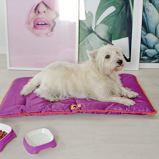 Ferplast Jolly Dog and Cat Mat, Washable Dog Bed, Dog Cushion, Waterproof and Scratch-Resistant, Mat for Dog Kennels, Car, Dog Basket, 83 x 50 cm, M, Brown Ferplast Jolly Dog and Cat Mat, Washable Dog Bed, Dog Cushion, Waterproof and Scratch-Resistant, Mat for Dog Kennels, Car, Dog Basket, 83 x 50 cm, M, Brown