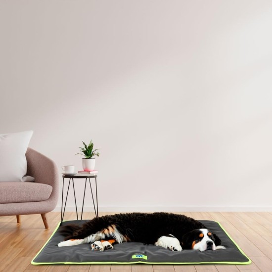 Ferplast Jolly Dog and Cat Mat, Washable Dog Bed, Dog Cushion, Waterproof and Scratch-Resistant, Mat for Dog Kennels, Car, Dog Basket, 83 x 50 cm, M, Brown Ferplast Jolly Dog and Cat Mat, Washable Dog Bed, Dog Cushion, Waterproof and Scratch-Resistant, Mat for Dog Kennels, Car, Dog Basket, 83 x 50 cm, M, Brown