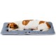 Ferplast Jolly Dog and Cat Mat, Washable Dog Bed, Dog Cushion, Waterproof and Scratch-Resistant, Mat for Dog Kennels, Car, Dog Basket, 83 x 50 cm, M, Brown Ferplast Jolly Dog and Cat Mat, Washable Dog Bed, Dog Cushion, Waterproof and Scratch-Resistant, Mat for Dog Kennels, Car, Dog Basket, 83 x 50 cm, M, Brown
