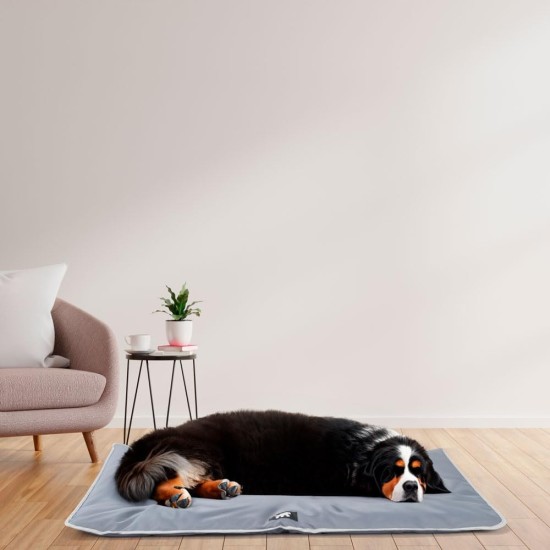 Ferplast Jolly Dog and Cat Mat, Washable Dog Bed, Dog Cushion, Waterproof and Scratch-Resistant, Mat for Dog Kennels, Car, Dog Basket, 83 x 50 cm, M, Brown Ferplast Jolly Dog and Cat Mat, Washable Dog Bed, Dog Cushion, Waterproof and Scratch-Resistant, Mat for Dog Kennels, Car, Dog Basket, 83 x 50 cm, M, Brown