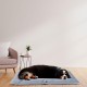 Ferplast Jolly Dog and Cat Mat, Washable Dog Bed, Dog Cushion, Waterproof and Scratch-Resistant, Mat for Dog Kennels, Car, Dog Basket, 83 x 50 cm, M, Brown Ferplast Jolly Dog and Cat Mat, Washable Dog Bed, Dog Cushion, Waterproof and Scratch-Resistant, Mat for Dog Kennels, Car, Dog Basket, 83 x 50 cm, M, Brown