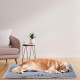 Ferplast Jolly Dog and Cat Mat, Washable Dog Bed, Dog Cushion, Waterproof and Scratch-Resistant, Mat for Dog Kennels, Car, Dog Basket, 83 x 50 cm, M, Brown Ferplast Jolly Dog and Cat Mat, Washable Dog Bed, Dog Cushion, Waterproof and Scratch-Resistant, Mat for Dog Kennels, Car, Dog Basket, 83 x 50 cm, M, Brown