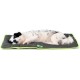 Ferplast Jolly Dog and Cat Mat, Washable Dog Bed, Dog Cushion, Waterproof and Scratch-Resistant, Mat for Dog Kennels, Car, Dog Basket, 83 x 50 cm, M, Brown Ferplast Jolly Dog and Cat Mat, Washable Dog Bed, Dog Cushion, Waterproof and Scratch-Resistant, Mat for Dog Kennels, Car, Dog Basket, 83 x 50 cm, M, Brown
